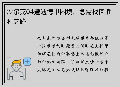 沙尔克04遭遇德甲困境，急需找回胜利之路